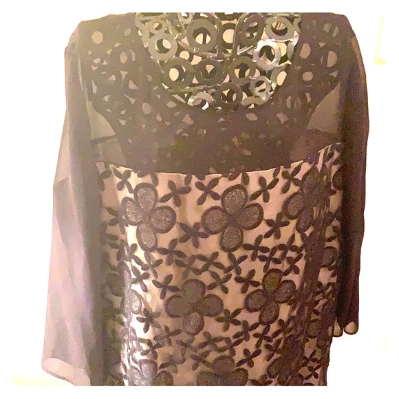 Black/cream sheer/mesh dress, beautifully detailed - Picture 1 of 5